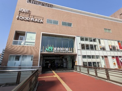 ���_�ސ�w���ӂ̒��̗l�q