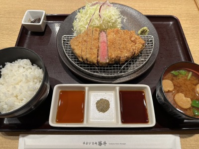 `QriQq^[~ijw̋Jc--s@cۋ`JAPAN FOOD HALLX