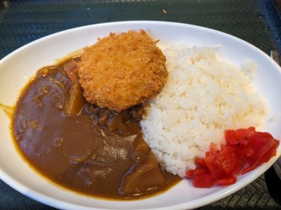 <はなまるうどん>カレーライス 南宇都宮駅の讃岐うどん--はなまるうどん 宇都宮西原店