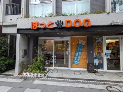 قDOG