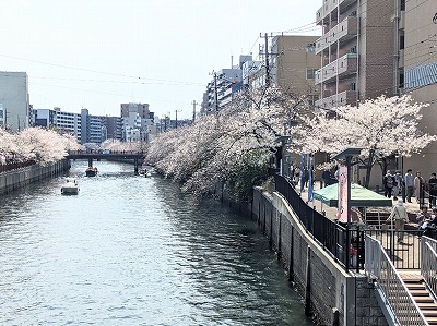 大岡川 大岡川
