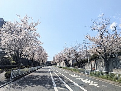 �v�����X��