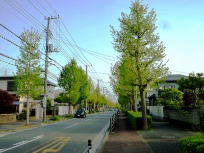 �m����w���ӂ̒��̗l�q