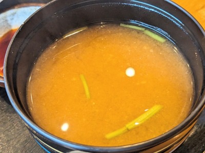 �����̋{�w�̘a�H--�މ���