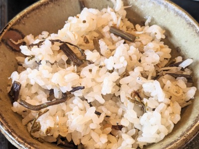 �����̋{�w�̘a�H--�މ���