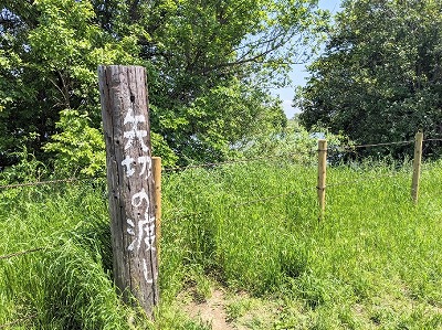 �Ė��w���ӂ̊ό�����--��؂̓n��