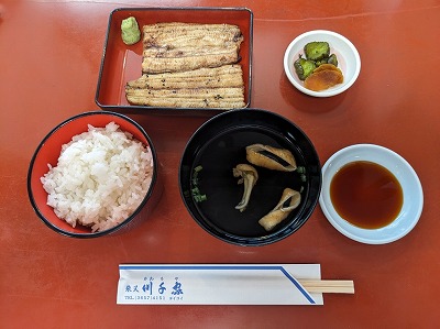 �Ė��w�̂��Ȃ�--����