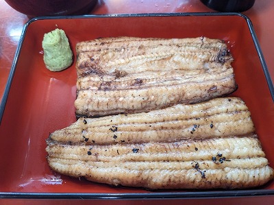 �Ė��w�̂��Ȃ�--����