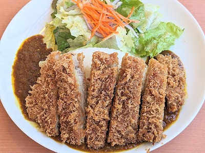 <不二家レストラン>ロースカツカレー 二子玉川駅のファミレス・ケーキ--不二家レストラン 世田谷砧店