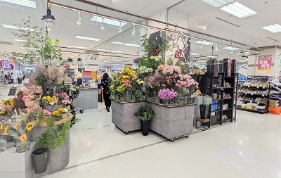 �u�P�E�t���[���@�Ó��X