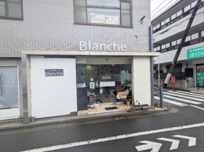 �v�����w���ӂ̔��e��--�u�����V�����e��