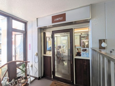 �w�A�[���~�p�X