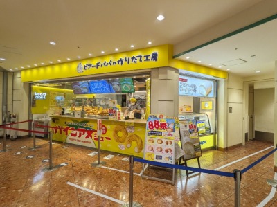 �V���w���ӂ̃V���[�N���[��--�r�A�[�h�p�p�@�E�C���O�V���X