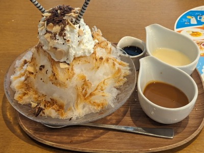 ˓cwӂ̃t@~X--RRX@ČX