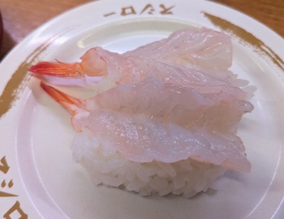 �암�s��w���ӂ̉�]���i--�X�V���[�@�u�����`���l�암�s��X