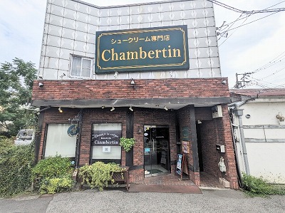 �V�����x���^��