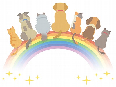 ���c�����쉀