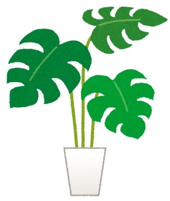 and leaf |