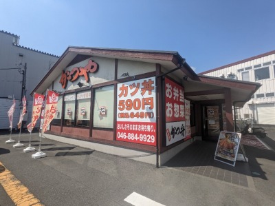 �k�v���l�w���ӂ̂Ƃ񂩂E����--����@���{�ꍲ���C���^�[�X