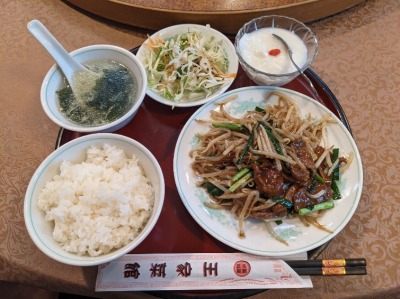 ���ƍ؊ف@��剪�X