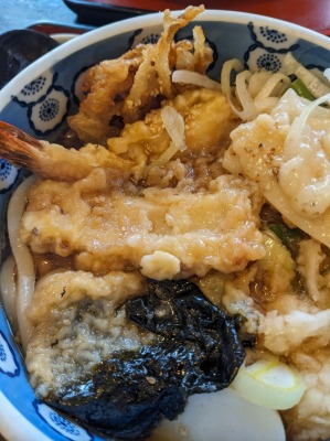 <富士見庵>こがねうどん 梶が谷駅周辺のうどん・そば--富士見庵
