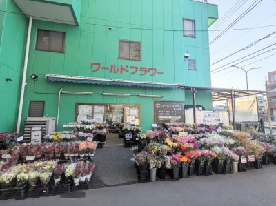 ���[���h�t�����[�@�����J�X