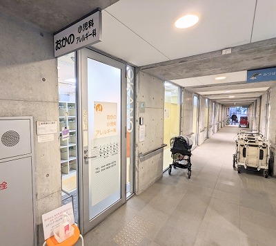 �����̏����ȁE�A�����M�[��