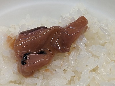 �Z�����O�w���ӂ̓��g��--�����܁@����ΐ�X