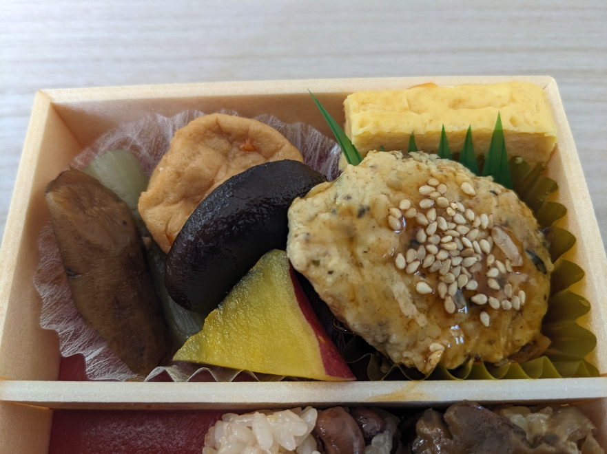 ��{�w���ӂ̂�����--������Ĕ��@�G�L���[�g��{�X