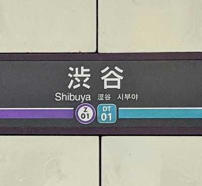 �a�J�w���ӂ̒��̗l�q