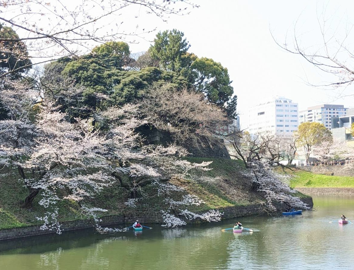 �璹�����Γ�