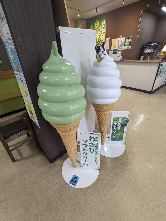�ɓ��m�c�w���ӂ̊ό�����--�ɓ��킳�у~���[�W�A��