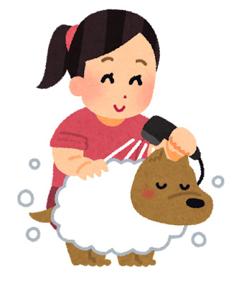 Groom Dog