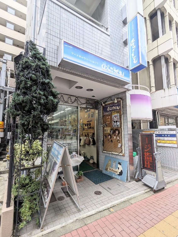 �ނ炳������