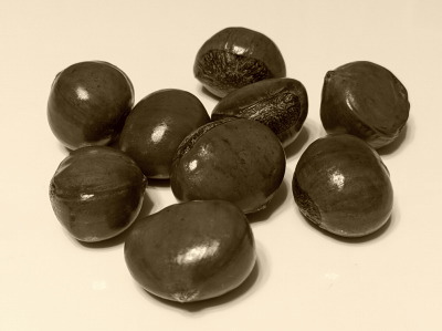 �ÌI���Y�@�����쓿�X