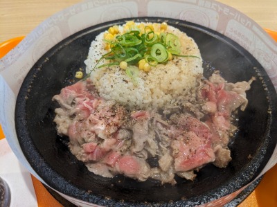 �y�b�p�[�����`�@�����q�X