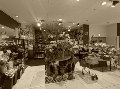 �u�P�E�t���[���@���l�X