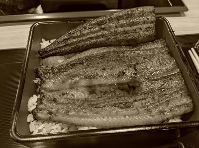 �V�̐����@���X�X